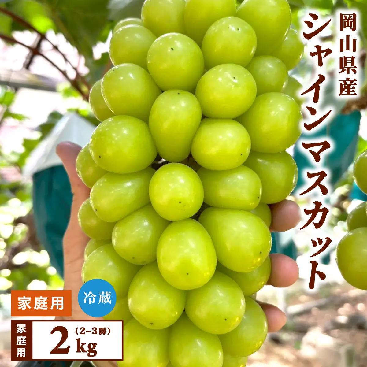 【家庭用】2026年9月発送 岡山県産 シャインマスカット 2kg