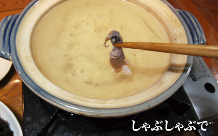 旬凍結ホタルイカ　小分け約250g×４パック　生食可　お刺身　しゃぶしゃぶに