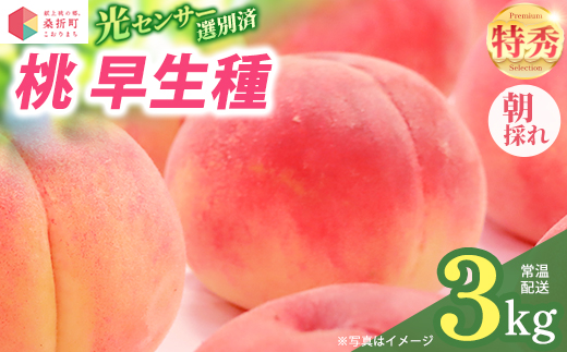 もも【早生種・2026年産】特秀3kg（10～12玉）桑折町振興公社　献上桃の郷　【07301-0231】