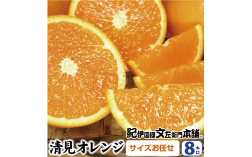 清見オレンジ 約8kg / 果実サイズおまかせ ※2025年2月中旬～4月下旬頃発送予定  紀伊国屋文左衛門本舗 / オレンジ 清美オレンジ 和歌山 柑橘 みかん 果物 フルーツ【sutb401C】