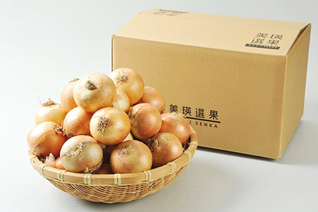 【令和7年産予約受付！】玉ねぎ 10kg 美瑛選果 美瑛町産  |  玉ねぎ 玉ねぎ 玉ねぎ 玉ねぎ 玉ねぎ [009-29]