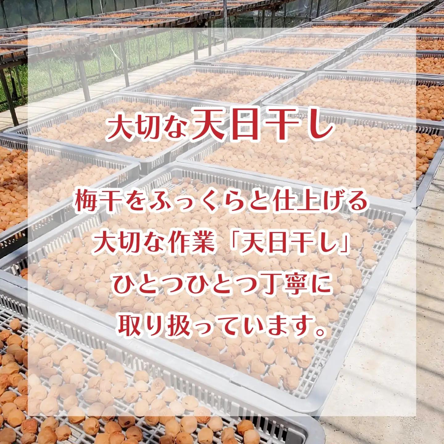 【 梅干し 】 小梅 1kg 南高梅