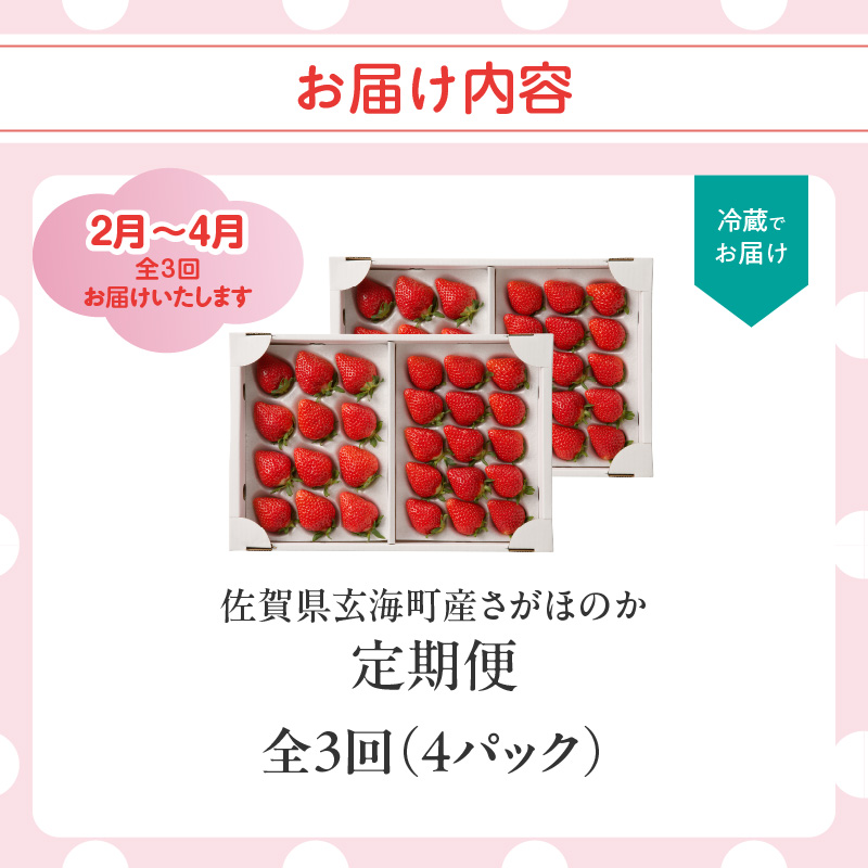 ★予約受付★杉山いちご農園 佐賀県玄海町産「さがほのか」毎月定期便DX