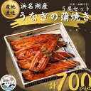 【ふるさと納税】【国産】浜名湖うなぎ蒲焼き140g以上　5本セット(たれ・山椒付き)【配送不可地域：離島】【1487457】