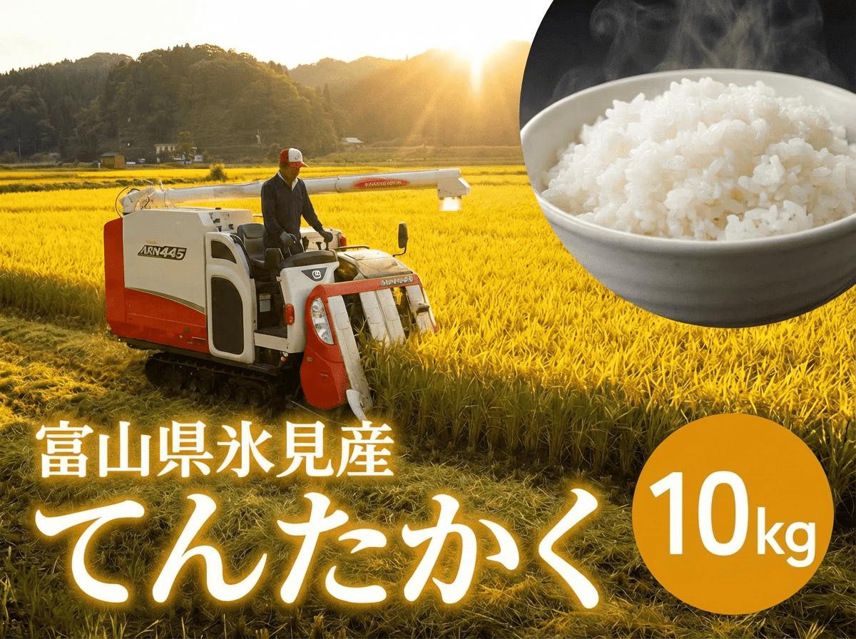 
                   令和7年産 富山県氷見産 てんたかく 10kg  種類が選べる（玄米 白米 無洗米）
                