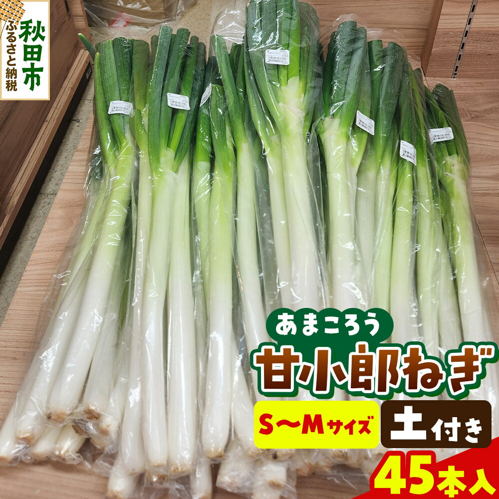 【ふるさと納税】甘小郎ねぎ 約5kg 土ねぎ（1箱45本入り）