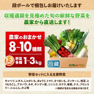 ふるさと納税 焼津市 ジモベジ野菜セット(a10-1232) |  | 03