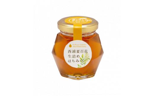 はちみつ 国産 蜂蜜 西浦 みかん 生詰め 3本 計300g セット ハチミツ 夏百花 温州 みかん ローハニー ミカン 蜜柑 柑橘 静岡県 沼津市 伊豆 半島 パンケーキ トースト 健康 朝食 ヨー
