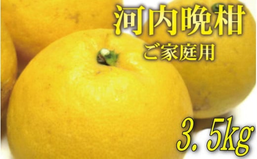 和製グレープフルーツ 有田 育ちの 河内晩柑 (ご家庭用) 3.5kg ※2026年4月上旬～6月下旬頃発送予定 ※北海道・沖縄・離島への配送不可【ard026-c-3d5A】
