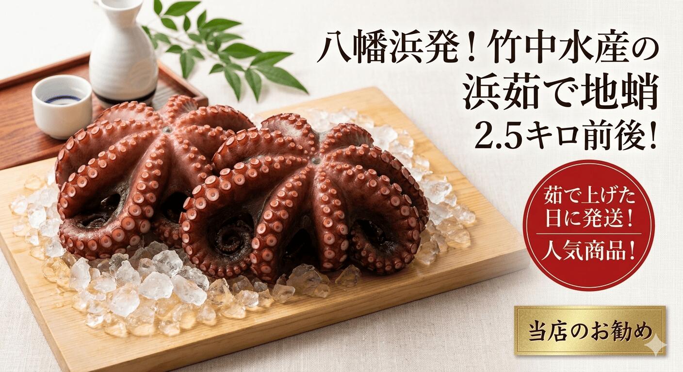 【ふるさと納税】八幡浜発!竹中水産のたっぷり「浜茹で地蛸」三昧!たっぷり2.5kg前後【H22-190】_ たこ タコ 蛸 海鮮 魚介 刺身 八幡浜 送料無料 【配送不可地域：離島】【1043153】YWTM017