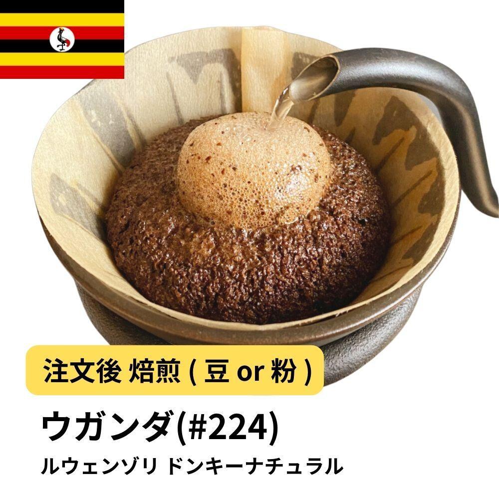 【ふるさと納税】コーヒー #224 ウガンダ ルウェンゾリ ドンキーナチュラル 310g 当日焙煎 大山珈琲 （豆または中挽きから選択） | 珈琲 飲料 コーヒー豆 ソフトドリンク 人気 おすすめ 送料無料