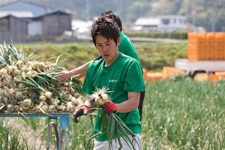 2026年度産　100％有機肥料で育てた淡路島玉ねぎ「蜜玉」３kg