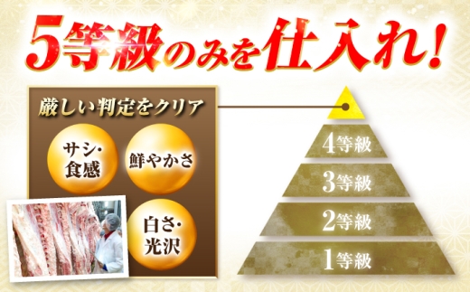 【12回定期便】飛騨牛 A5等級 焼肉用 カルビ・ロース 1kg 牛肉 肉 お肉 焼き肉 BBQ 岐阜市 / 肉の松久 [ANIP038]