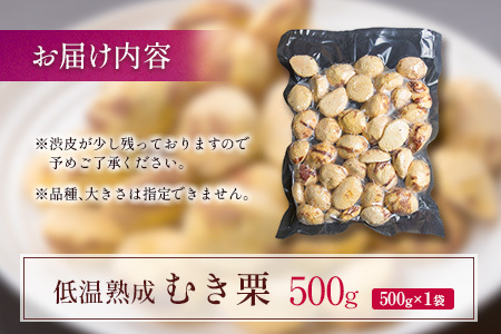 ＜2026出荷!!＞＜訳あり＞期間限定 国産 低温熟成栗（むき栗）500g 産地直送 お取り寄せ 熟成宝珠栗 宮崎県新富町産【B505-26】