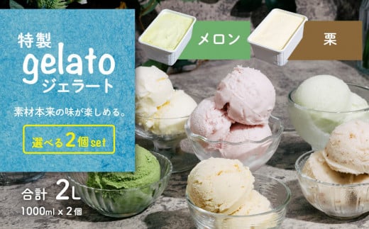 選べる特製ジェラート 1L x 2個 [メロン] [栗] 【 アイス ジェラート アイスクリーム デザート スイーツ 組み合わせ自由 業務用 バルク 】