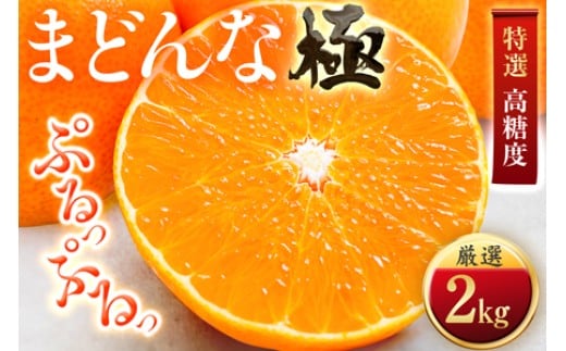 
            「夕やけブランド」ぷるぷる食感＜まどんな＞2kg　※紅まどんなと同品種　＜D49-39＞_みかん ミカン マドンナ 紅まどんな同品種 柑橘 柑橘類 フルーツ 果物 くだもの 人気 美味しい 愛媛県 八幡浜 ふるさと【1508951】
          