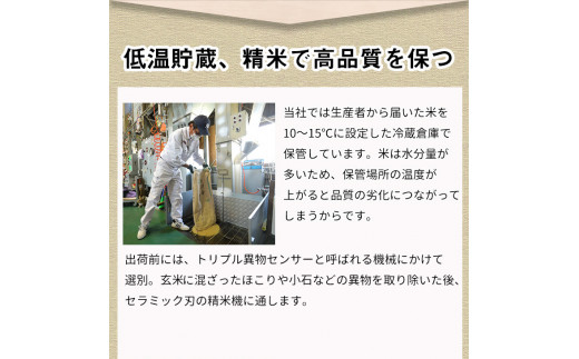【9月より新米】米 京都丹波米 きぬひかり5kg 白米 米◇◆◇ 食味鑑定士厳選 京都丹波産 ふるさと納税米 ※精米したてをお届け ※北海道・沖縄・離島への配送不可