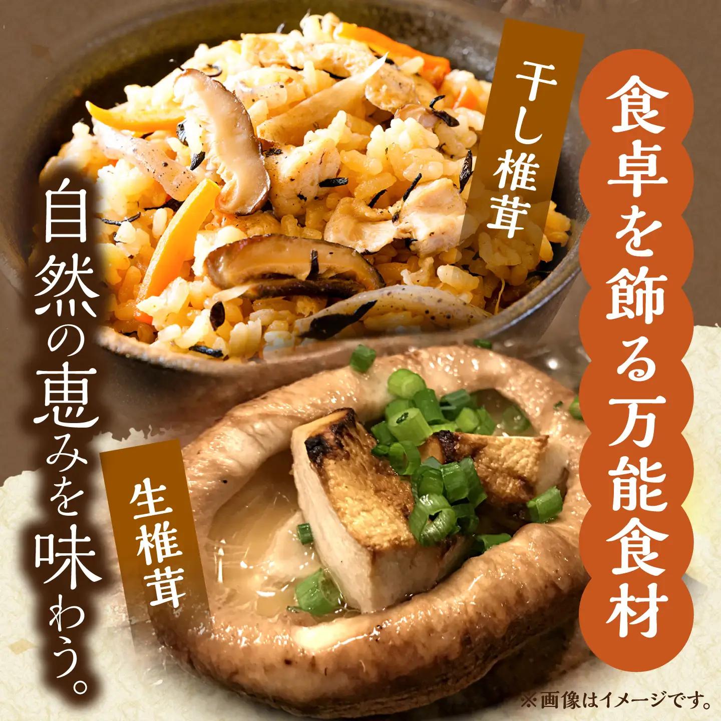 原木椎茸 生･乾燥 詰め合わせセット 椎茸 しいたけ [BNAU001]