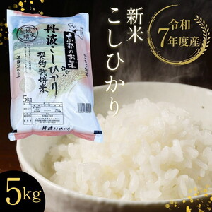 【令和7年産 新米】京都丹波・亀岡産こしひかり 5kg 精米