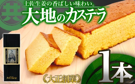 大地のカステラ 1本 お菓子 カステラ スイーツカステラ 高知県 須崎市カステラ MK025 