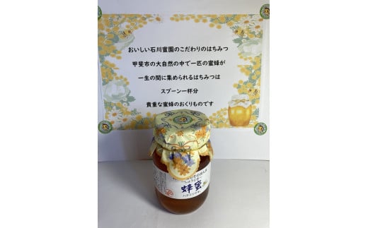 石川蜜園そのまんま　蜂蜜　550g１本 [山梨 はちみつ 蜂蜜]