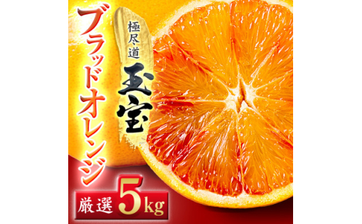 ＜愛媛名産＞玉宝ブラッドオレンジ(タロッコ)　5kg＜E64-68＞【1621810】