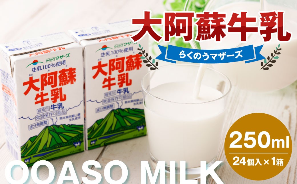 
            大阿蘇牛乳 250ml×24個入（1箱） 牛乳 ミルク 成分無調整 紙パック パック ロングライフ 長期保存 常温 熊本県 上天草市
          