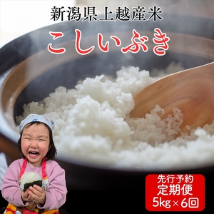 令和8年産　先行予約　上越市産こしいぶき　5kg×6回定期便　新米　精米　新潟　米　新潟県　こしいぶき　限定　定期便　おすすめ　米ヴィレッジさんわ