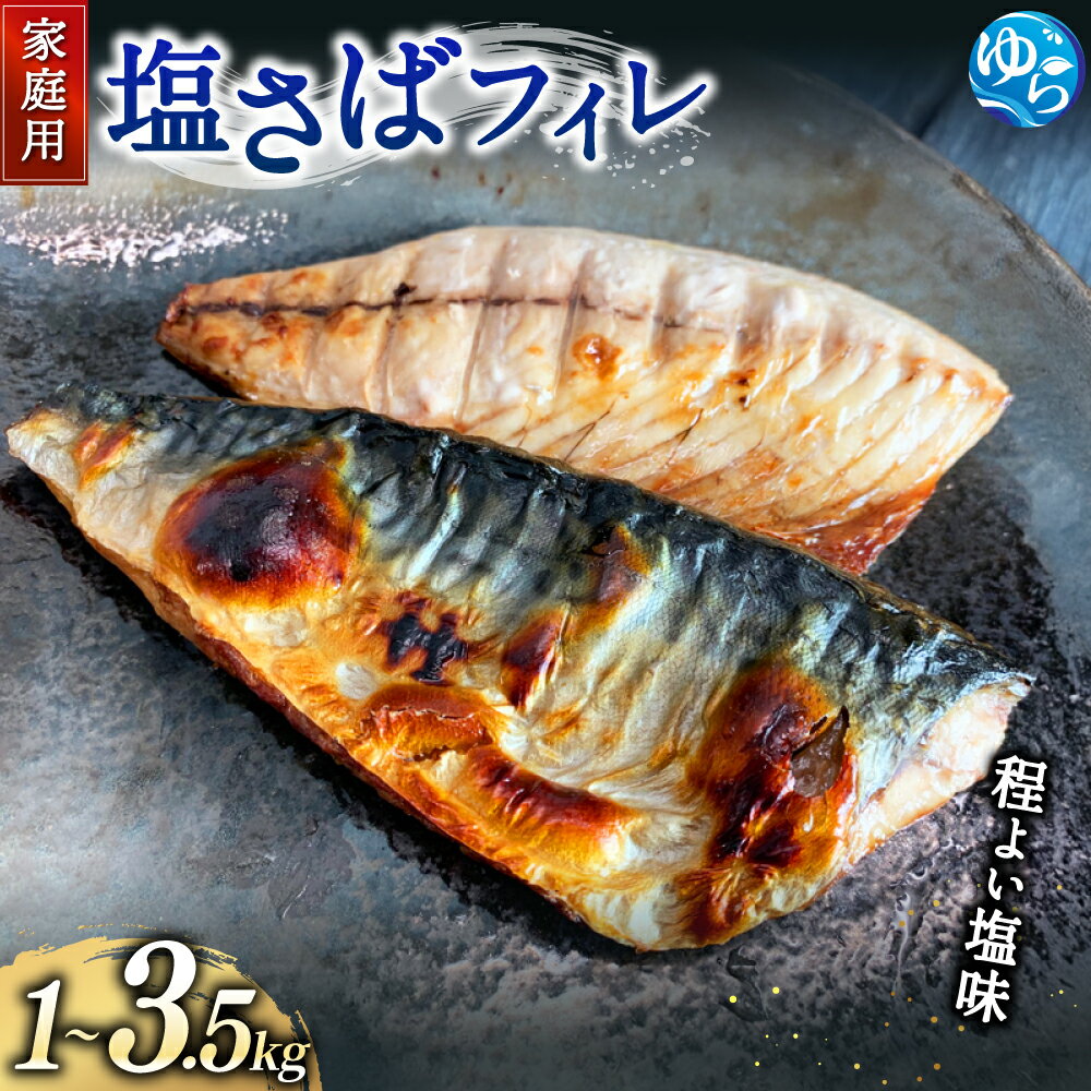 【ふるさと納税】＼レビューキャンペーン中／【ご家庭用】塩さばフィレ 【選べる容量】1kg 2kg 3.5kg | 和歌山 由良町 湯浅町 支援品 返礼品 特産品 名産品 塩サバ 塩さば 鯖 サバ さば 魚 切り身 冷凍 冷凍食品 焼き魚 煮魚 真空パック 魚介類 魚介 海産物おすすめ 塩鯖