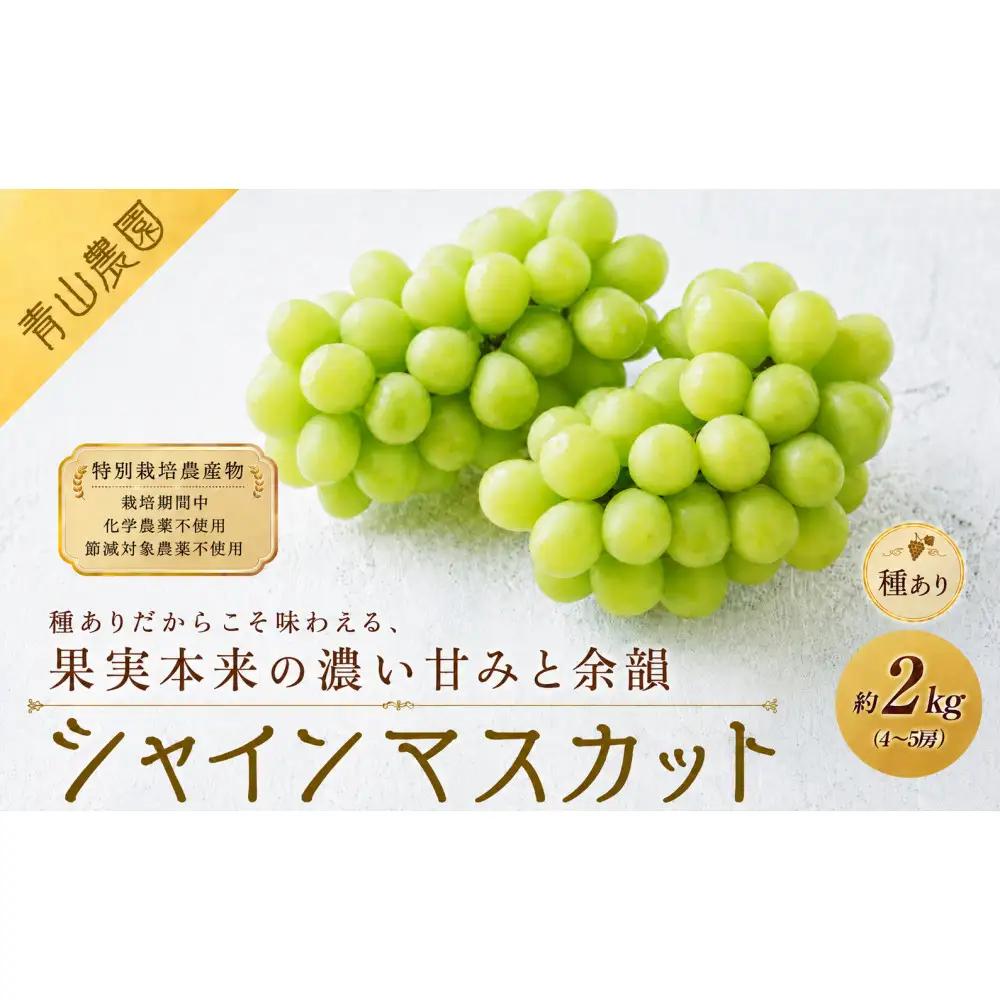 【先行予約】【数量限定】種ありシャインマスカット 約2kg（4〜5房）｜特別栽培農産物〔2027年8月上旬より順次発送〕