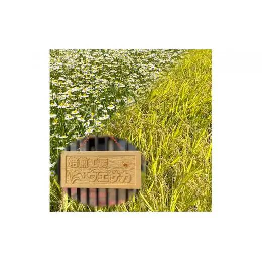 焙煎工房ウエサカオリジナル 無農薬玄米コーヒーセット(ティーパック5袋)