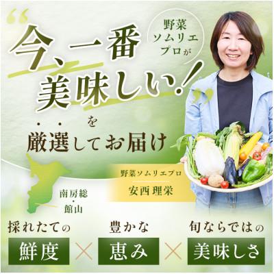 ふるさと納税 館山市 【毎月定期便】【中旬発送】こだわりの旬野菜BOX「リエビン」季節の野菜セット全12回 |  | 01
