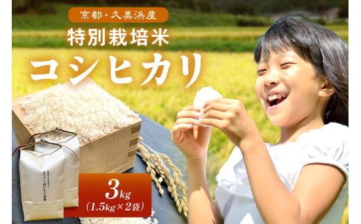 2025年産 京都・久美浜産 特別栽培米コシヒカリ 1.5kg×2袋 お米 特別栽培米 精米 白米 ふるさと納税 米 こしひかり ふるさと納税 こしひかり コシヒカリ ご飯 ごはん ふるさと納税 米