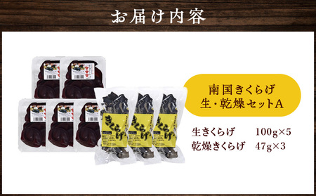 南国 きくらげ 生 ・ 乾燥 セットA C070-002 キクラゲ 有機成分 ミネラル 歯ごたえ 肉厚 バガス 野菜 やさい 沖永良部産 沖永良部 生きくらげ 生キクラゲ 乾燥きくらげ 料理 中華炒め