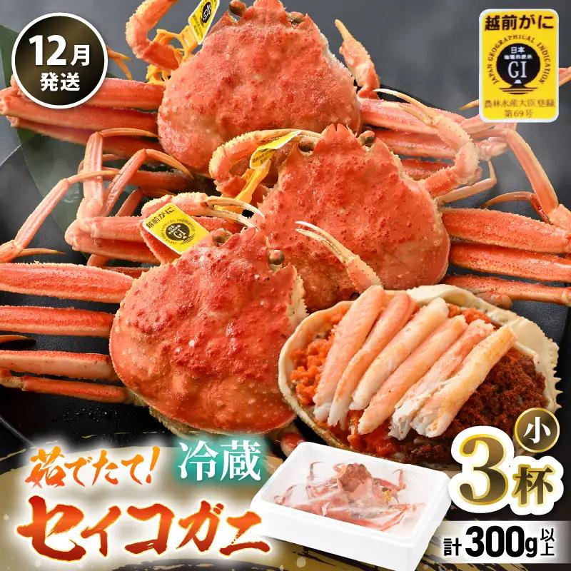 先行予約【冷蔵】 旬のセイコガニ 小 3杯 計300g以上（茹で前） 説明書付き 【2026年12月上旬以降順次発送予定】 ズワイガニ メス せいこがに [m21-x001_12]