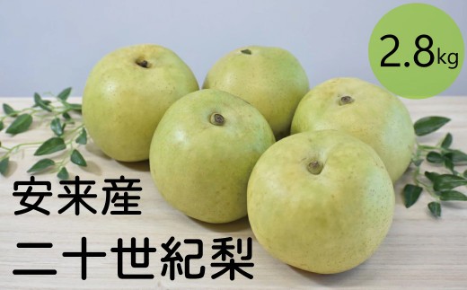 
                  二十世紀梨　2.8kg【先行受付 2025年発送 梨 なし ナシ 20世紀 美味しい みずみずしい 期間限定 先行予約】【15-JY-16】
                