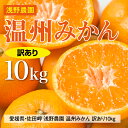 【ふるさと納税】【先行予約】浅野農園の温州みかん 訳あり10kg｜柑橘 みかん ミカン フルーツ 果物 愛媛 ※2024年12月上旬～12月中旬頃に順次発送予定 ※離島への配送不可