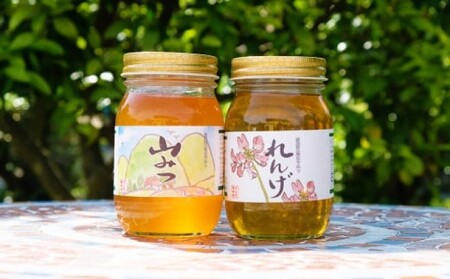 はちみつセット 国産純はちみつ やまみつ・れんげ はちみつセット【600g×2本】
