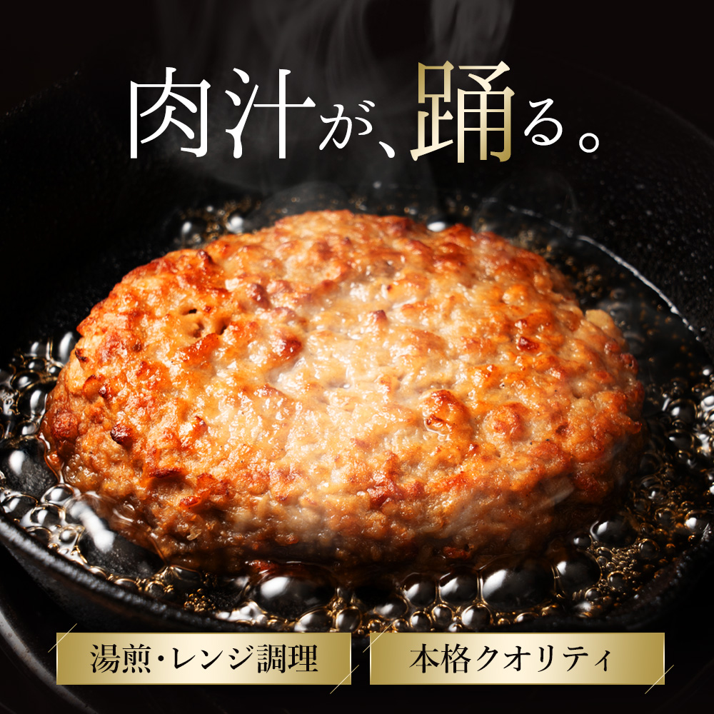 M153-0034-8_ジューシー 鉄板焼きハンバーグ 48個入り(48個×100g)