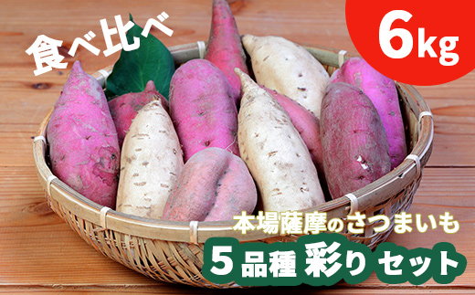 鹿児島さつまいも 5品種 食べ比べ 6kg 　2025年10月上旬より発送A3-54【配送不可地域：離島】