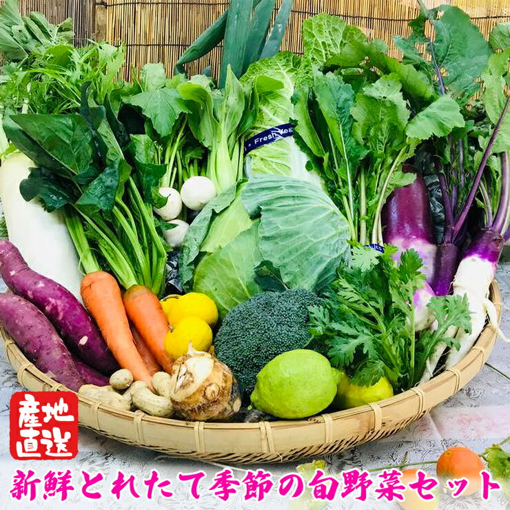 【ふるさと納税】[野菜セット] 産地直送！新鮮とれたて旬の野菜 [2004]