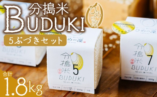 ＜分搗米「BUDUKI」ひめの凜 「5ぶづき」2合入り×6個（1.8kg）＞ ひめのりん 分づき米 ぶづき米 ぶずき米 お米 コメ こめ 選べる 5分づき 玄米 精米 ご飯 もとき農園 愛媛県 西予市【常温】『令和7年11月中旬より順次発送予定』