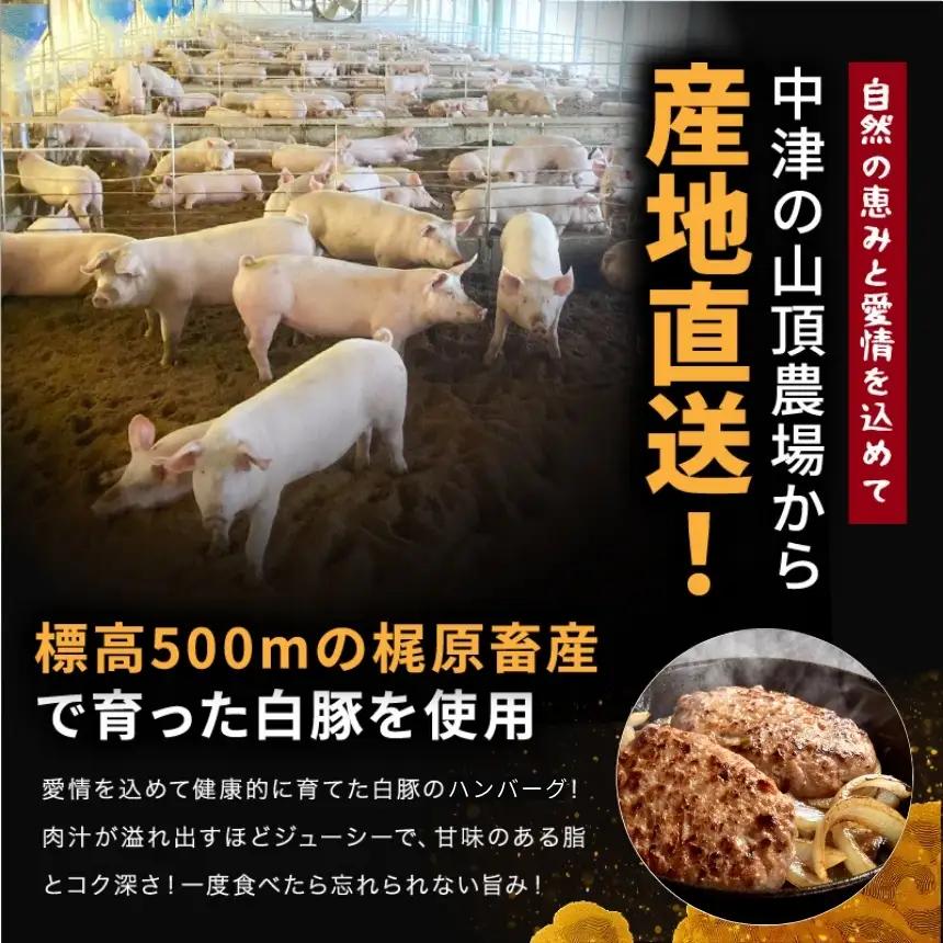 冷凍 ハンバーグ 生16個入り ( 4パック ) | お肉 肉 豚肉 白豚 お惣菜 惣菜 おかず 簡単調理 国産 九州産 大分県産 大分県 中津市