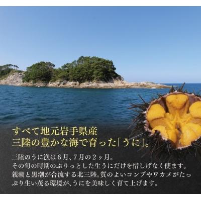 ふるさと納税 普代村 三陸産 甘塩うに 60g 2本 【旬の時期の生うにを惜しげもなく使った逸品】 |  | 01