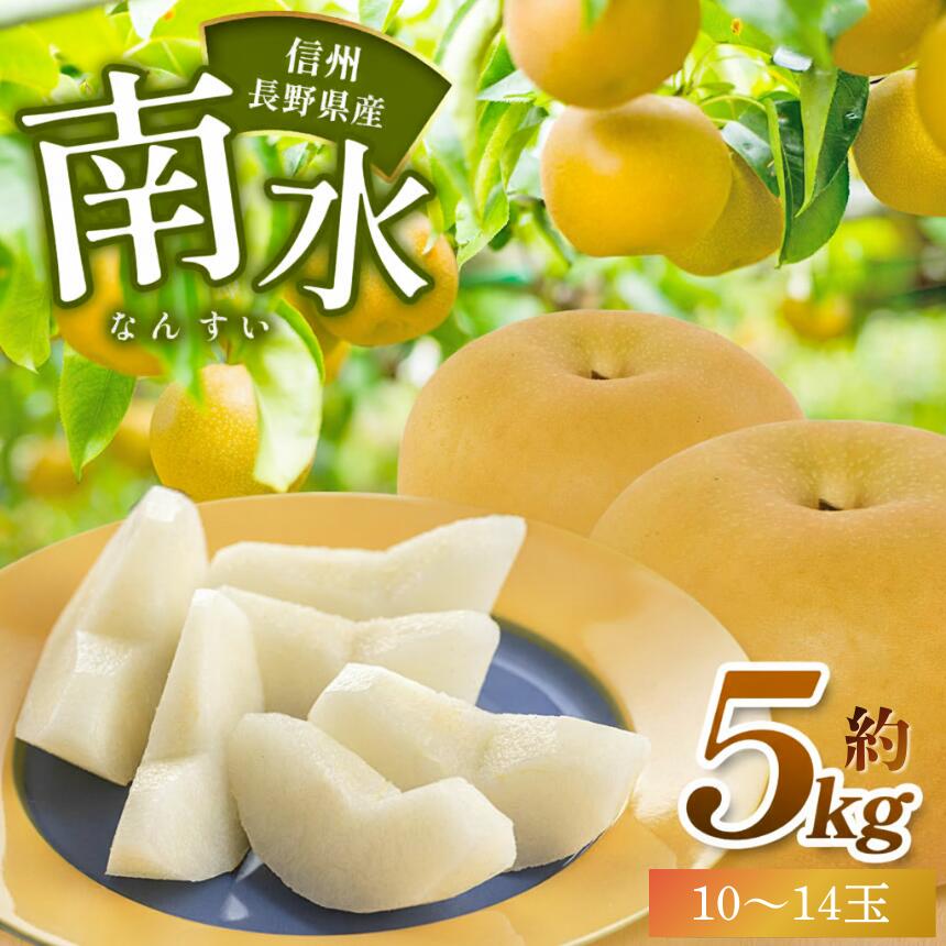 【ふるさと納税】【2026年先行予約】 長野県産 南水 約5kg （10～14玉） 【9月下旬以降発送予定】| 果物 くだもの 南水 フルーツ 梨 なし ナシ 長野県 塩尻市