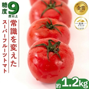 スーパーフルーツトマト 約1.2kg × 1箱 《2月上旬-6月上旬頃出荷》 フルーツトマト トマト 【2027年発送】