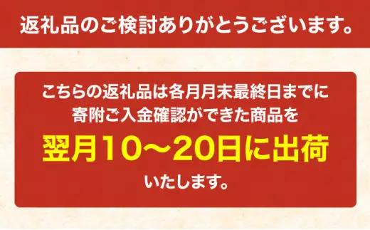 12ヵ月 300g 無洗米 ななつぼし 米 12ヵ月 定期便