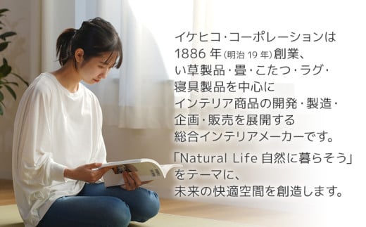 ウィルトンカーペット スピネル 200×250ｃｍ イケヒコ・コーポレーション AA469