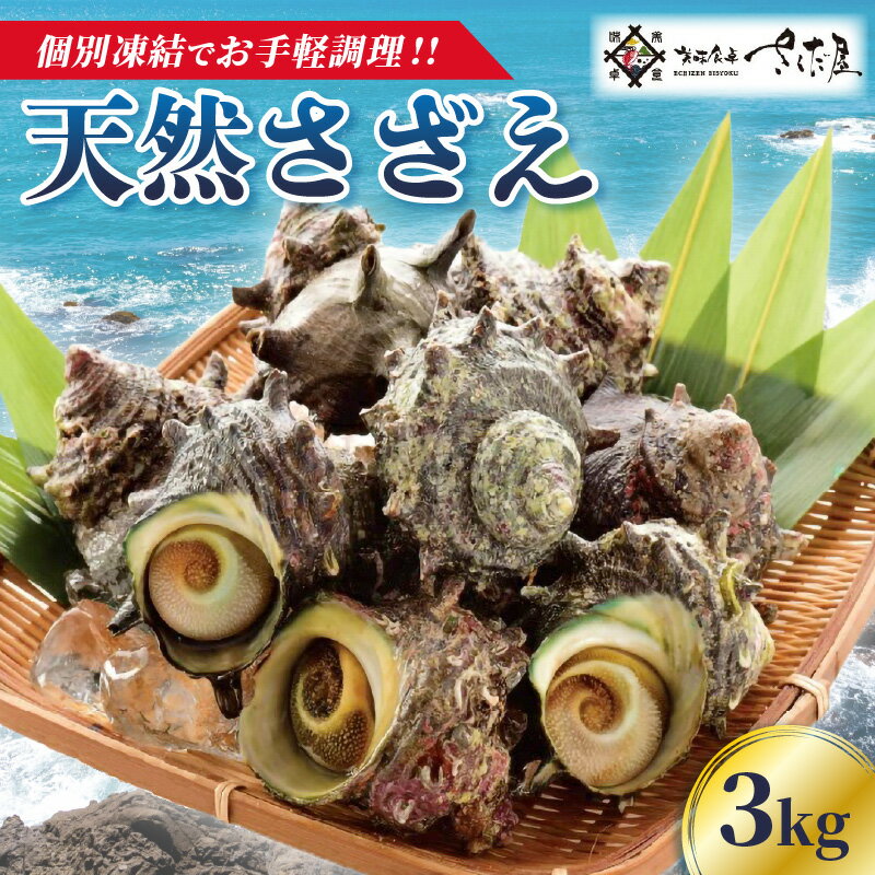 天然 さざえ ≪3kg≫ 加熱用 高鮮度 急速冷凍【海鮮 BBQ バーベキュー 栄螺 サザエ】 [e04-b022]