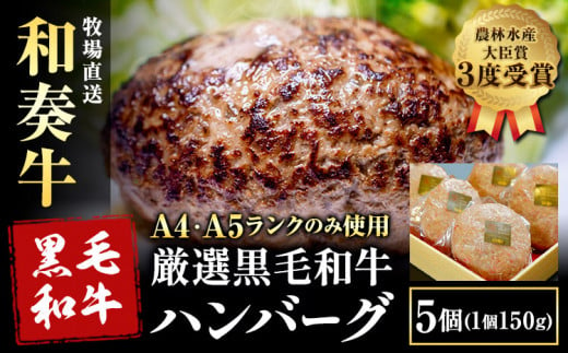 厳選くまもと黒毛和牛ハンバーグ 5個 (1個150g)《30日以内に出荷予定(土日祝除く)》熊本県 大津町 和牛焼肉LIEBE くまもと黒毛和牛 ハンバーグ 冷凍 リーベ